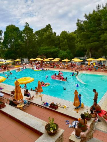 Villaggio Camping Golfo di Arzachena
