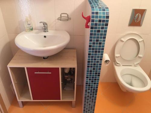 ein kleines Bad mit einem Waschbecken und einem WC in der Unterkunft Apartmán Horní Lipová in Lipová-lázně