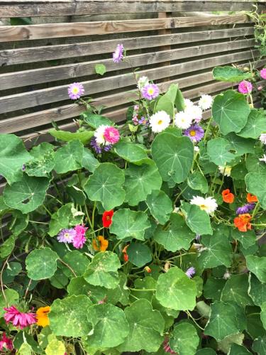 a bunch of flowers on a wooden bench at The Old Henhouse in Tollarp