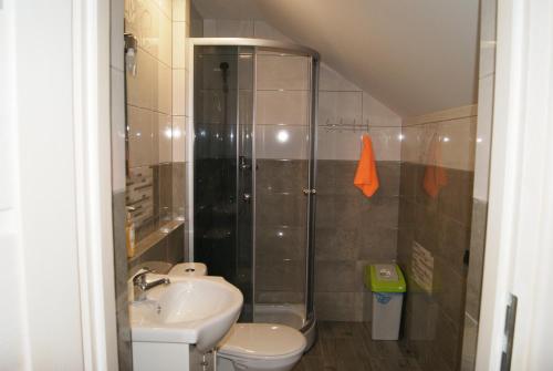 a bathroom with a shower and a toilet and a sink at U Jasia - Agroturystyka in Bańska Niżna