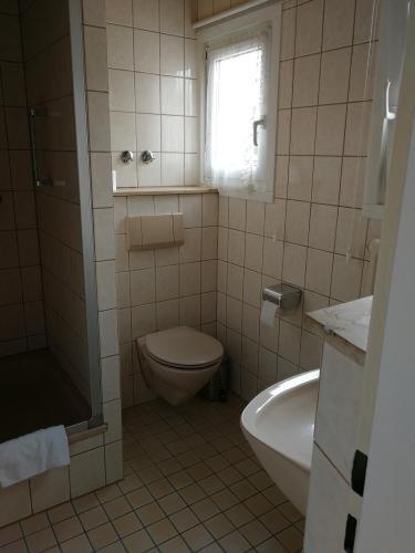 a bathroom with a toilet and a sink at Pension Bergseeblick in Titisee-Neustadt