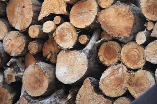 a pile of wood with a bunch of logs at Ciche Pole in Maniowy