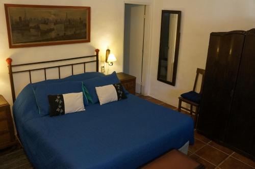 a bedroom with a blue bed with pillows at Marinas del Riachuelo in Riachuelo