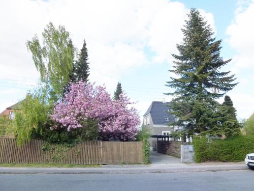 a house with a fence and a tree with pink flowers at Kleiters Bed & Kitchen in Copenhagen