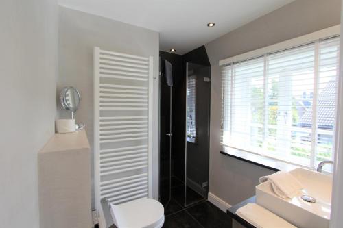 a bathroom with a toilet and a sink and a window at Ulenhüs in Wenningstedt