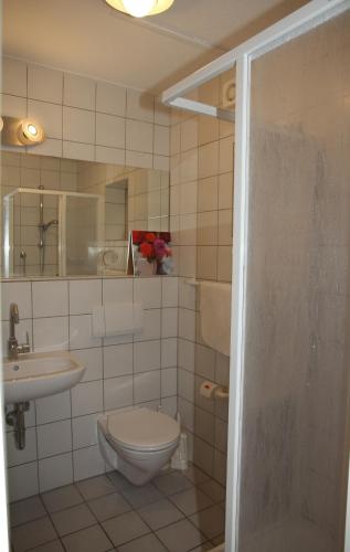 a bathroom with a toilet and a sink at Ferienhaus LIVI in Zandt