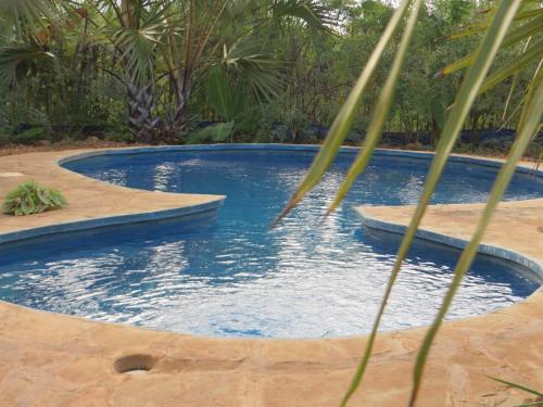 a swimming pool with a palm tree in the foreground at Bahati Diani House Glamping in Diani Beach