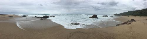 a beach with rocks and waves in the ocean at Shad in Palm Beach