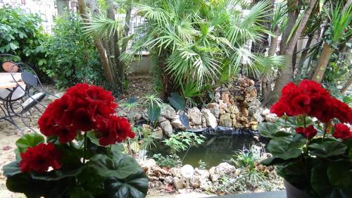 Κήπος έξω από το Garden FuoriRotta