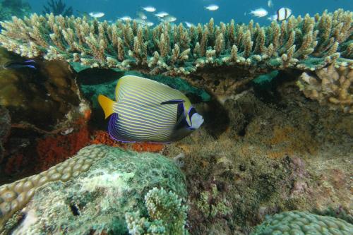 Gallery image of Sangany Lodge in Befotaka Bay