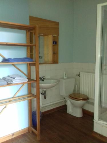 a bathroom with a toilet and a sink at Thirifays, résidence de vacances in Chiny