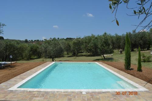 a large swimming pool in a field with trees at Agriturismo Cento Ducati in Palombara Sabina