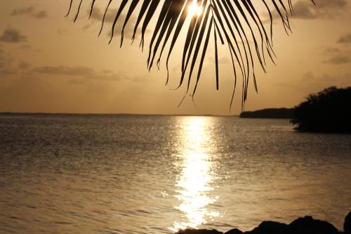 a view of the ocean at sunset at Gilbert's Resort in Key Largo