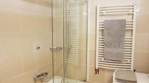 La salle de bains est pourvue d'une douche avec une porte en verre. dans l'établissement Boël 3 studio, à Genève