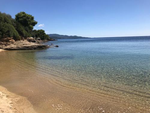 a view of a beach with trees and the water at Akti Elia Villas Beachfront Chalkidiki in Elia