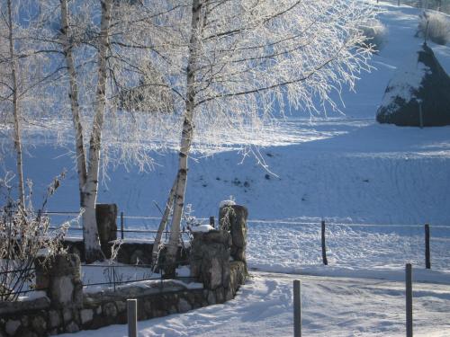 Photo de la galerie de l'établissement Guest House Sergey, à Kolašin