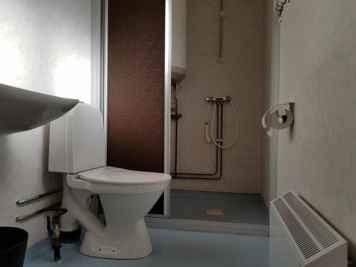 a bathroom with a toilet and a shower at Bydalens Fjällby in Hallen