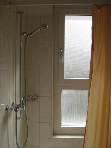 a bathroom with a shower and a window at Garni Fluela Susch in Sur