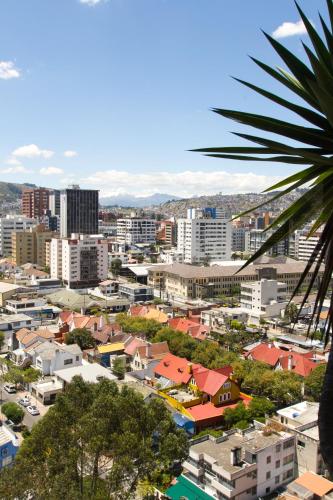 a view of a city with buildings and a palm tree at The Penthouse Lodge in Quito
