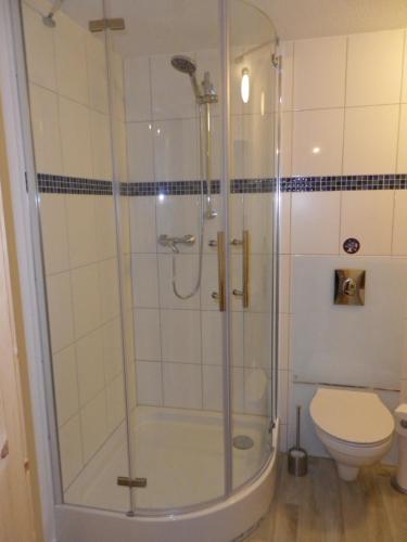 a bathroom with a shower and a toilet at Zum Sudhaus im Herzen der Schorfheide in Golzow