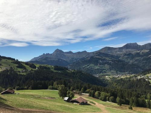 a green field with mountains in the background at La Ferme des Georgières "Séjour en tout compris" in Notre-Dame-de-Bellecombe