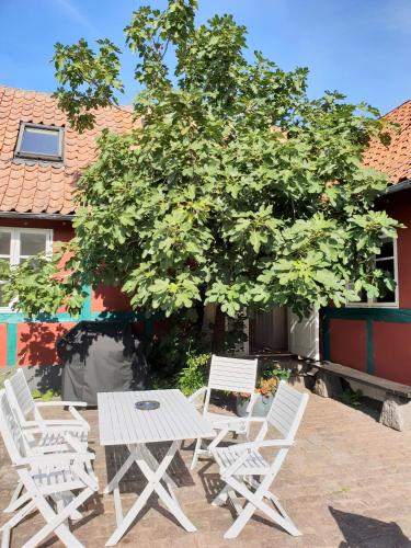 a group of white chairs and a table and a tree at Pension Holmegaard in Sandvig