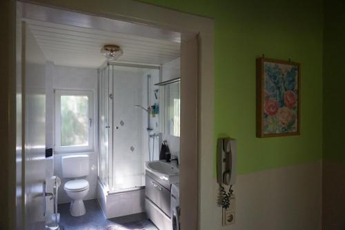 a bathroom with a toilet and a sink at Grüne Oase in Hargesheim