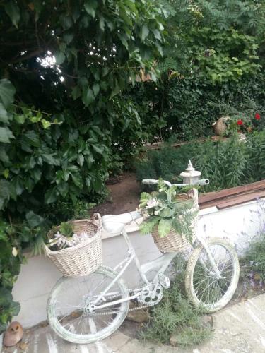 Gallery image of Parasolka in Odesa