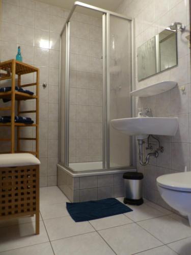 uma casa de banho com um lavatório e um chuveiro em Ferienwohnung Ortrand - Pension em Ortrand