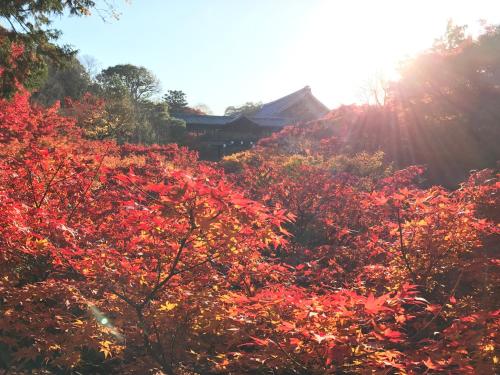 Nagomian Hachijotei 和庵