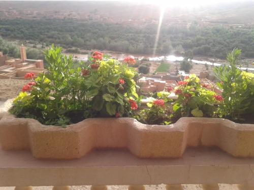 a planter filled with flowers on a ledge at Hotel Almanader in Boumalne
