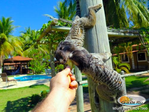 Kolam renang di atau dekat dengan Pousada Grande Rio