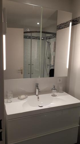 uma casa de banho branca com um lavatório e um espelho em 25 Rue Raymond Braillard em Dole
