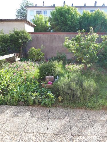 un jardín con un montón de plantas y una acera en 25 Rue Raymond Braillard en Dole