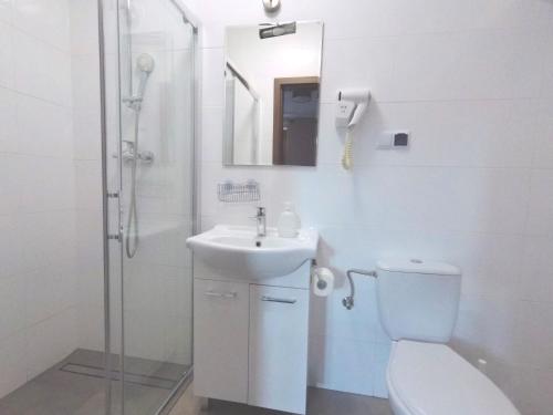 a bathroom with a toilet and a sink and a shower at Hotel Colnus in Kolno