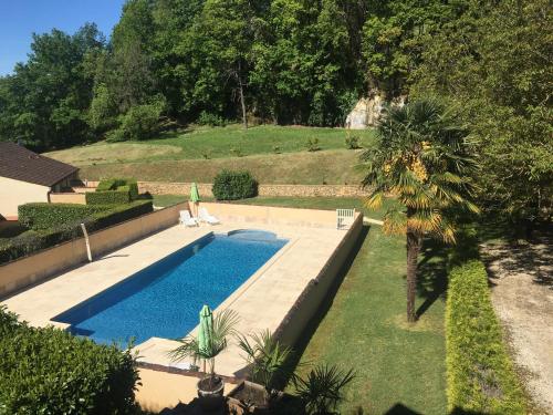 une piscine dans une cour avec un palmier dans l'établissement Gite à Sarlat avec piscine, à Sarlat-la-Canéda