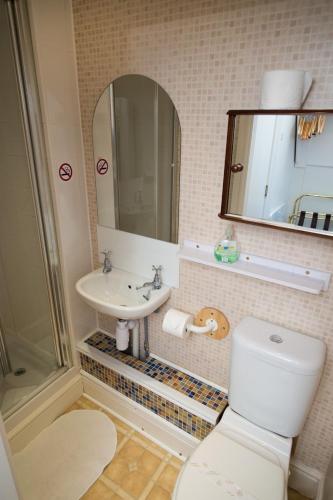 a bathroom with a toilet and a sink and a mirror at Somerset House B&B in Grange Over Sands