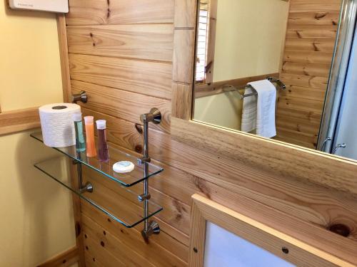 een badkamer met houten lambrisering en een spiegel bij Rashfield Sheilings - Riverside Lodges, by Pucks Glen, Dunoon in Dunoon
