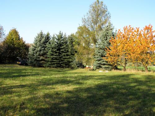 a field of grass with trees in the background at Bahnwärterhaus in Droßdorf