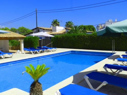 a swimming pool with blue lounge chairs and a palm tree at Apartaments Marina Sol i Pins in Cala Figuera