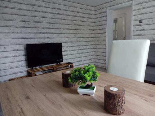 TV a/nebo společenská místnost v ubytování INFINITY Blue 1