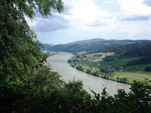 a view of the river from a hillside at Ferienwohnung Örtl 7 in Obernzell