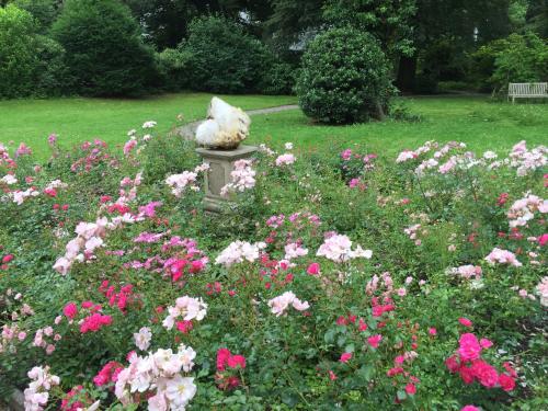a garden with pink flowers and a statue in the middle at Villa Jakobsbrunnen in Winterthur