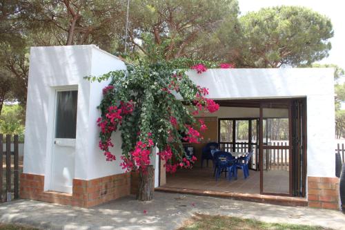 Villa Mayorazgo-Solo Familias