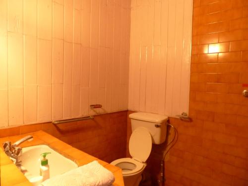 a bathroom with a toilet and a sink at Lukla Airport Resort Lukla in Lukla