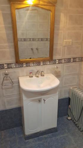 a bathroom with a white sink and a mirror at Posada Doña Emilia Amarfil in Albardón
