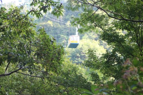 a gondola flying through a forest of trees at Arima Onsen Koki in Kobe