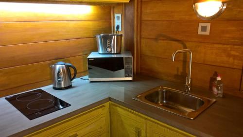 a kitchen counter with a microwave and a sink at Bois Joli in Mahe