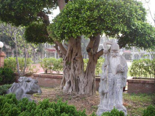 a statue of a man standing next to a tree at Chong Er Ya She Homestay in Jiji