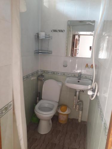 a small bathroom with a toilet and a sink at Hotel Nazira & Azizbek in Bukhara